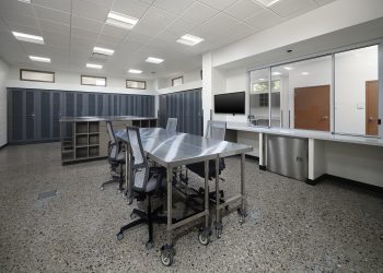 mesa-evidence-counter
