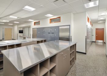 mesa-evidence-lobby-counter